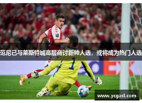 范尼已与莱斯特城高层商讨新帅人选，或将成为热门人选